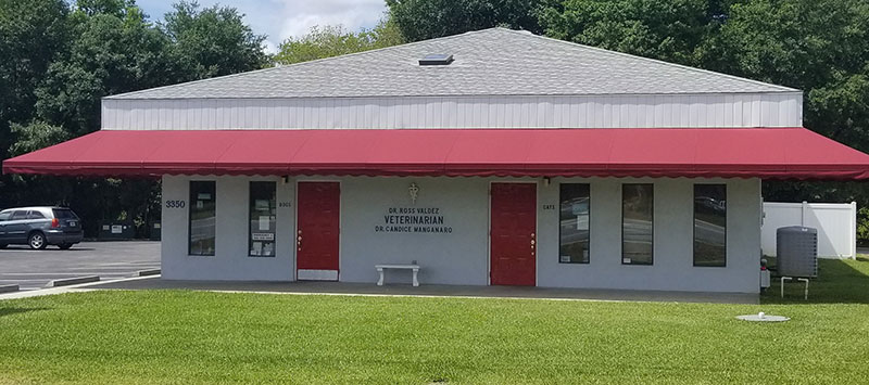 veterinary hospital in Fruitland Park